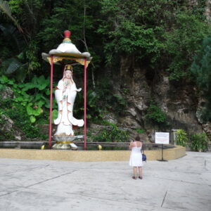 4D 3N tour Kuala Lumpur - Taman Negara (2) -Cameron Highlands- Penang Island drop off (P38)