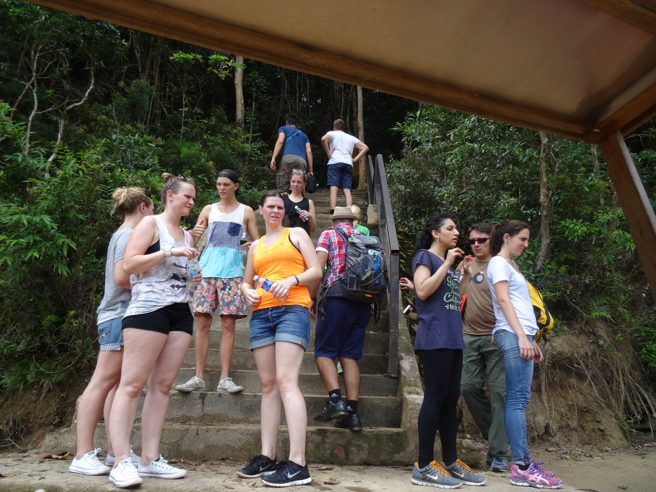 6D 5N tour Penang Island - Cameron Highlands-Taman Negara - Kuala Lumpur-Malacca - KL Airport (P53)